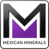 Mexican Minerals LLC