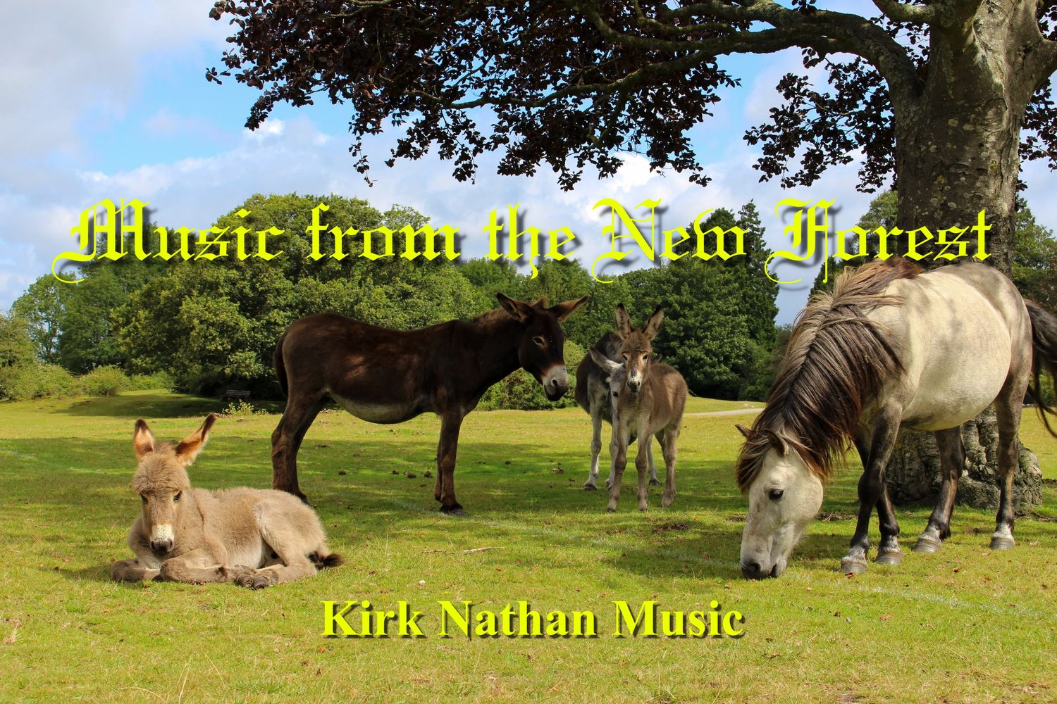 Music from the New Forest by Kirk Nathan