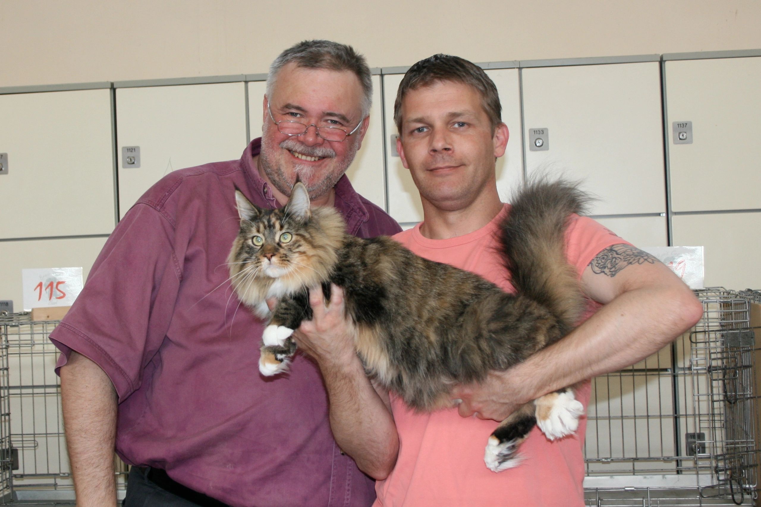 First Maine Coon Polydactyl Champions in TICA!