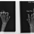 X-Ray Maine Coon Polydactyl TLC Polycoons Karen K Narasaki P, front feet 