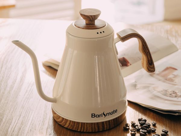 Elegance Series Temperature Controlled Stainless steel Gooseneck kettle