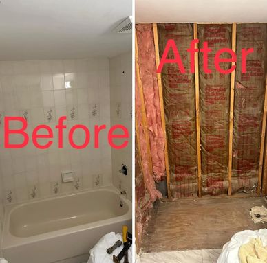 Bathroom, demolition Ormond Beach
