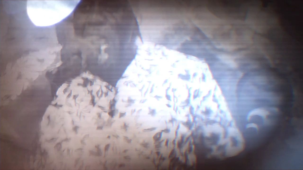 https://img1.wsimg.com/isteam/ip/107e6ba7-4c05-48fd-9e22-8b0ed27636d2/thumbnails/thumbnail-9bb2637e-a24d-406e-aecf-1e57eaf5ba39.png