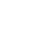 

POOCH & TAILOR