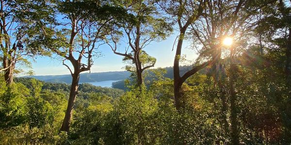 Lookout of Baroon pocket dam