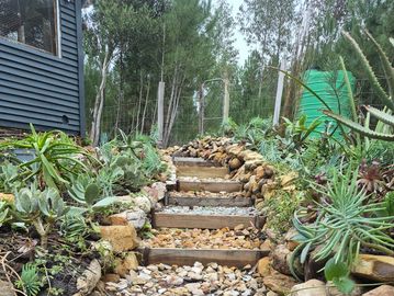 Stone steps surrounded by green plants and rocks.