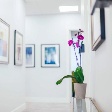 Hallway with framed artwork and a potted orchid on a side table.