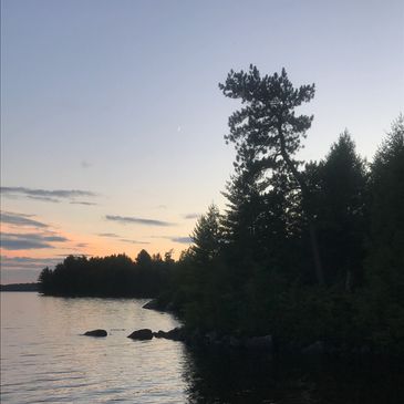 Lake shore with trees at sunset