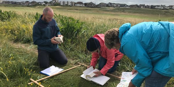 Volunteers undertaking quadrat surveys on the sand dunes as part of our ecology for all days