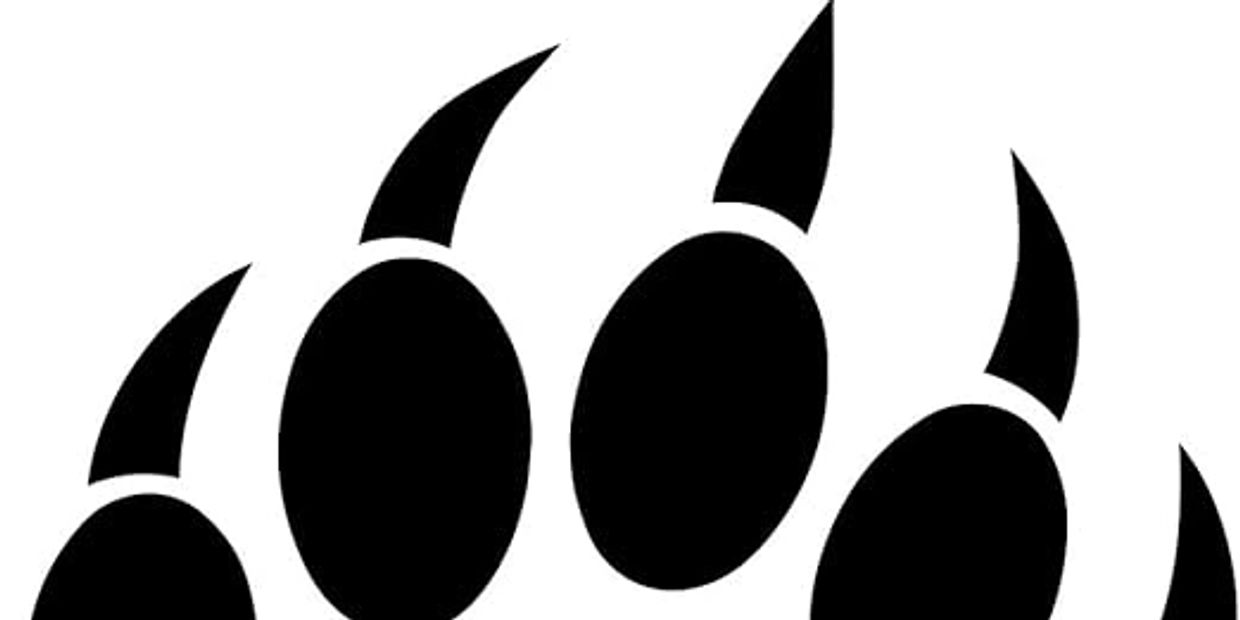 Black bear paw print silhouette with sharp claws on white background.