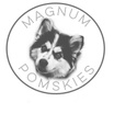 Magnum Pomskies