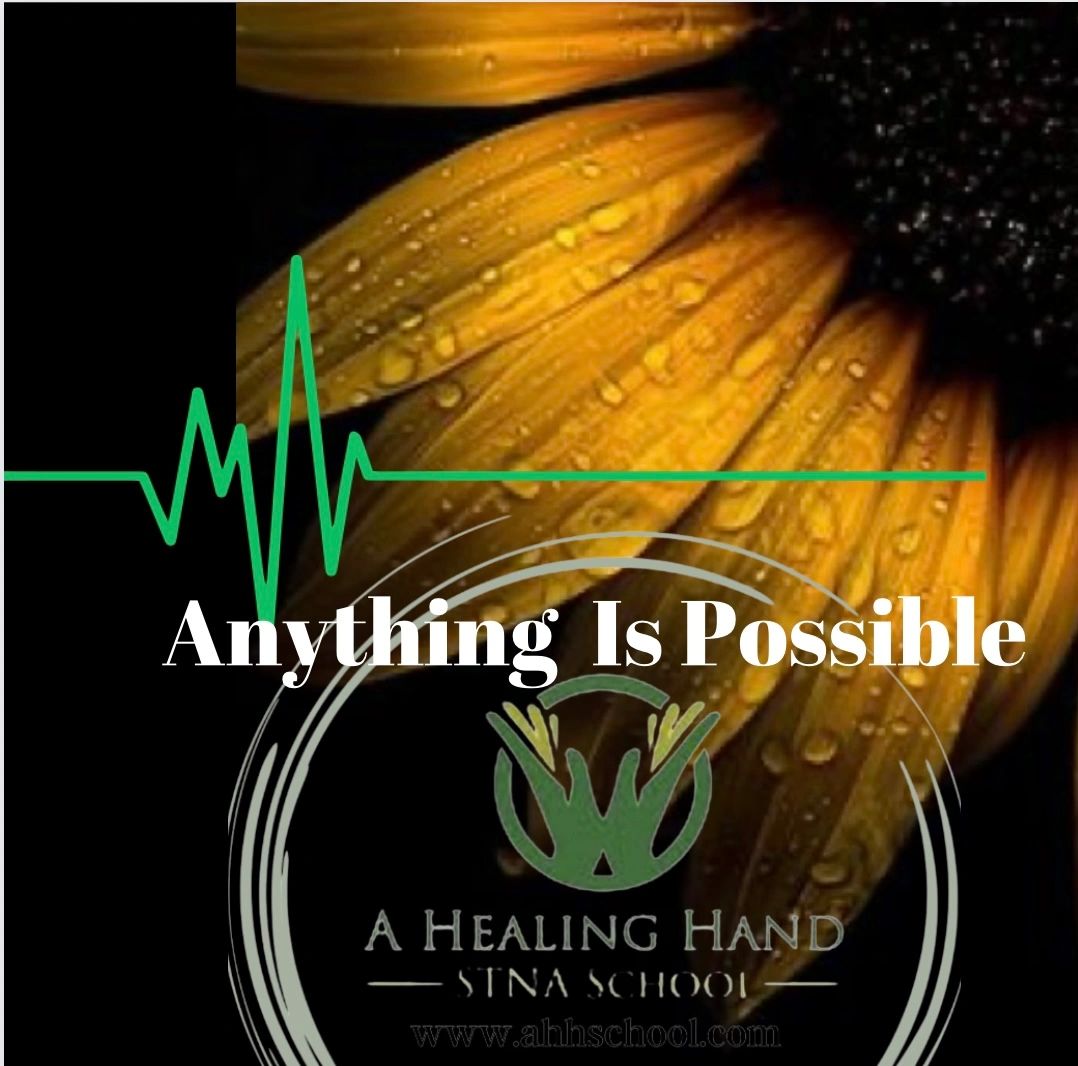 A Healing Hand STNA School