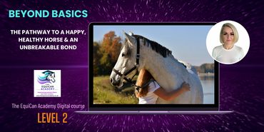 Beyond the Basics online program