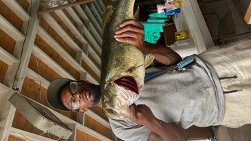 Man proudly holding a large fish indoors under a beamed ceiling.