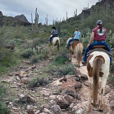 Three people horseback riding on a rocky desert trail with cacti.