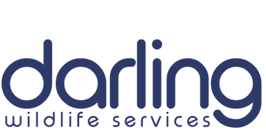 darling wildlife services