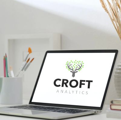 Croft Analytics Services