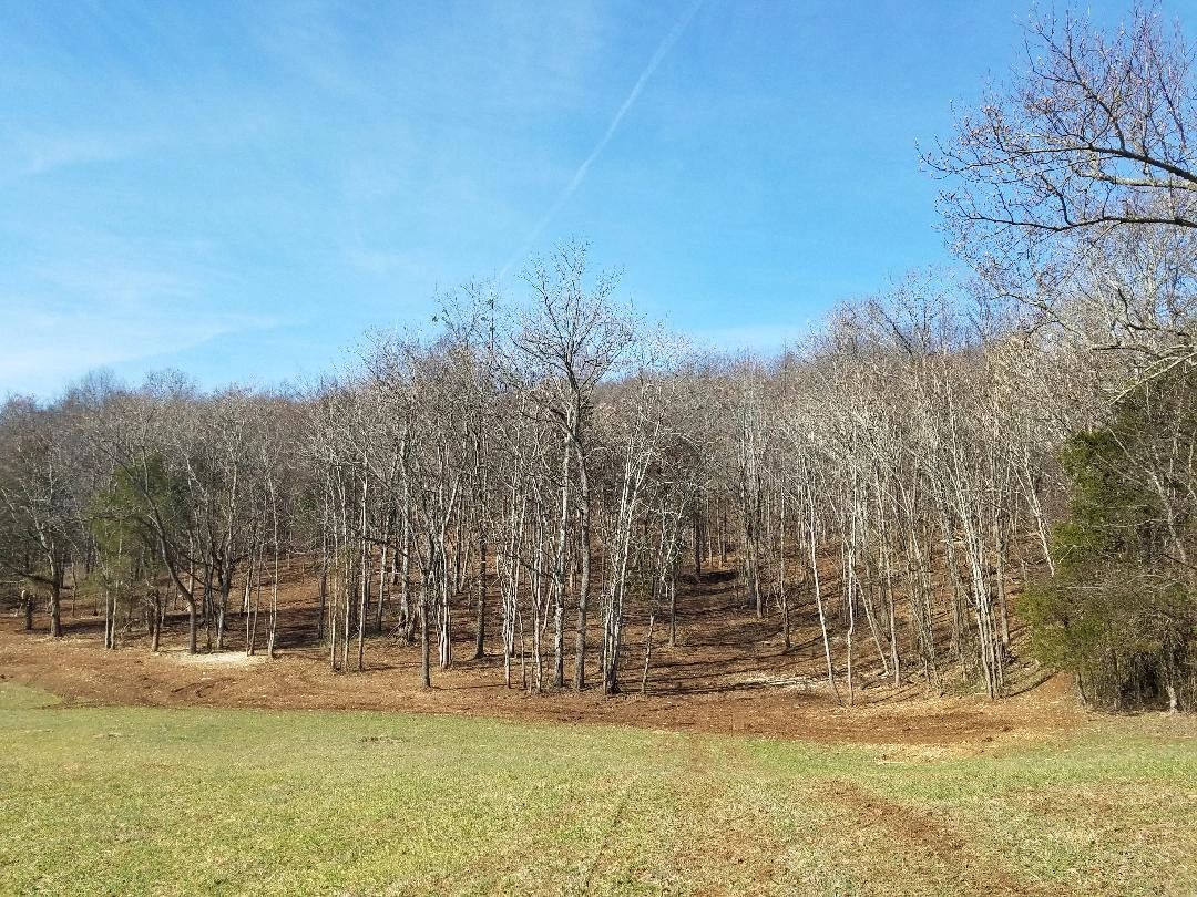 B & K Property Services LLC Forestry Mulching Sparta, Tennessee