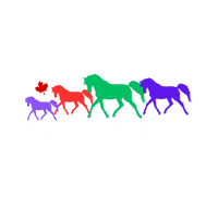 Trail Connection Beta Biothane Tack & Accessories