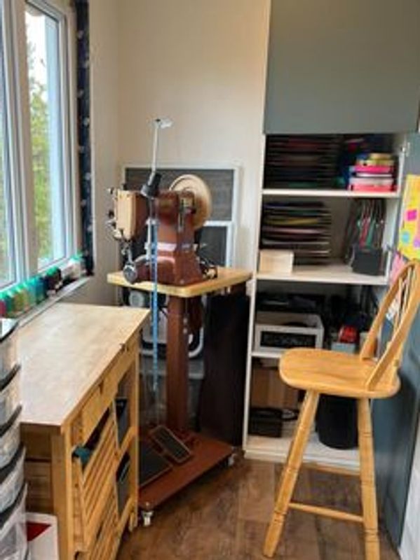 Meet Joelene! Trail Connections Class 3 Cobra Sewing Machine!