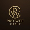 Pro Web Craft 