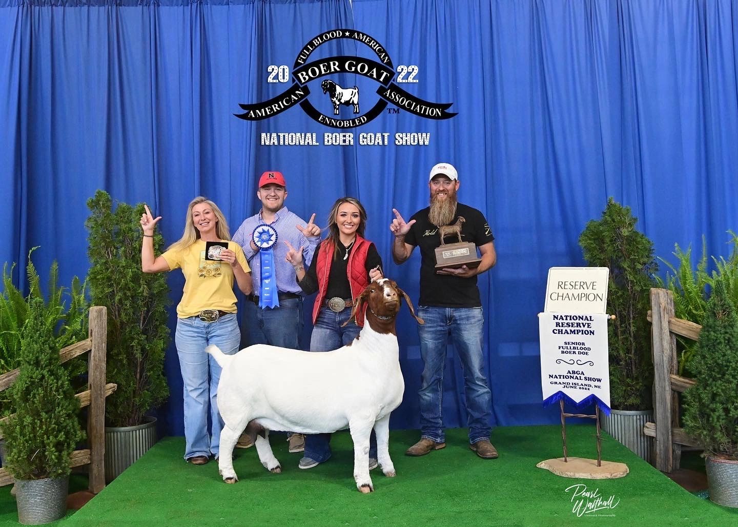 Rowdy Acres Show Goats High Quality Boer Goats