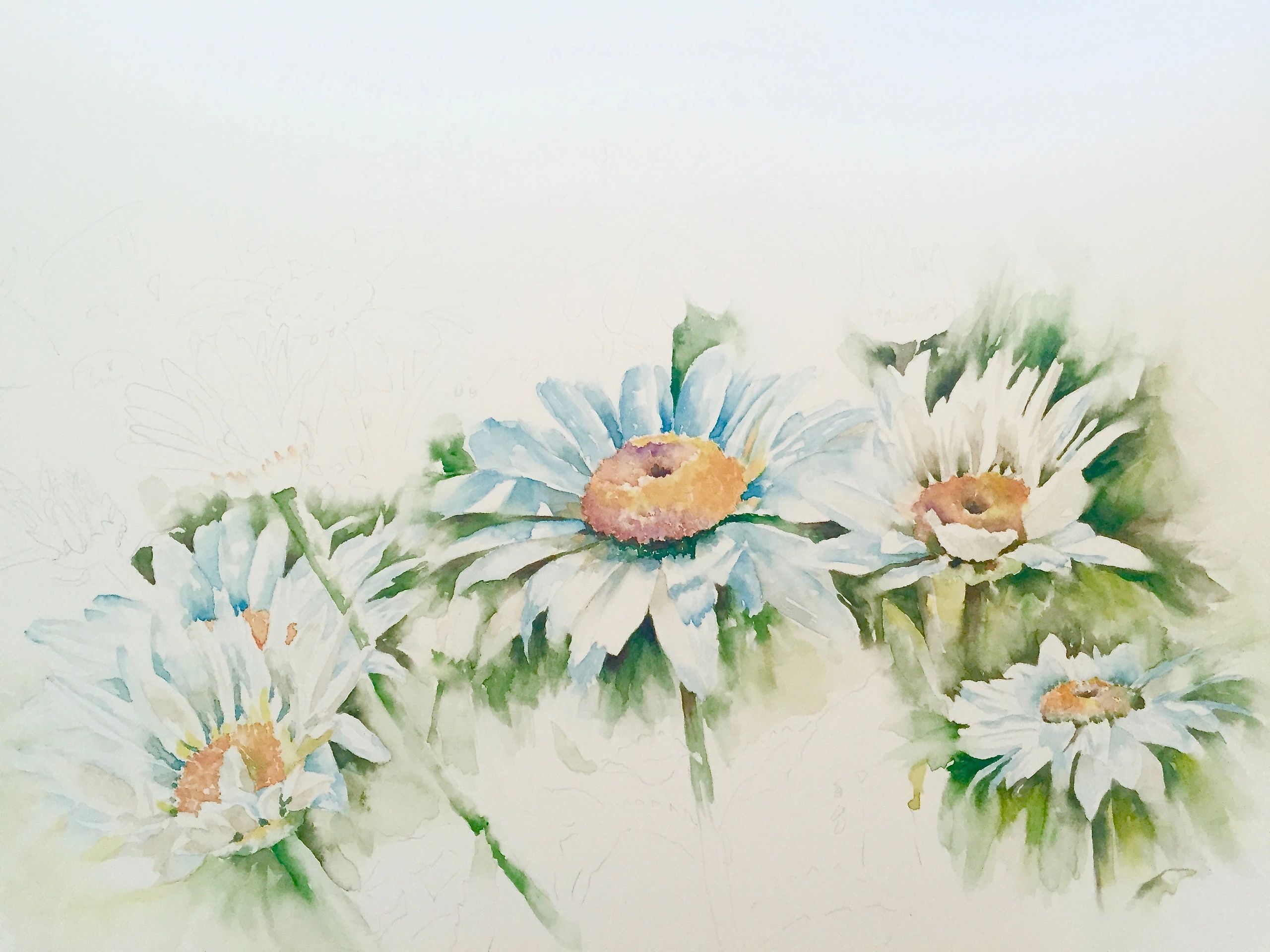 Draw + Paint a Daisy in Watercolour – Surely Simple