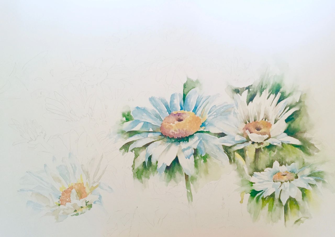 Draw + Paint a Daisy in Watercolour – Surely Simple