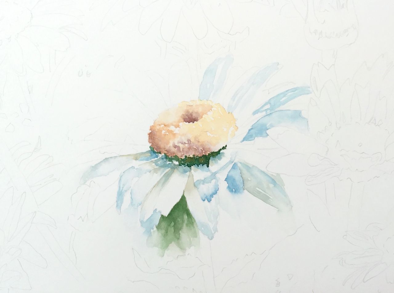 How to Paint a Daisy in Watercolor