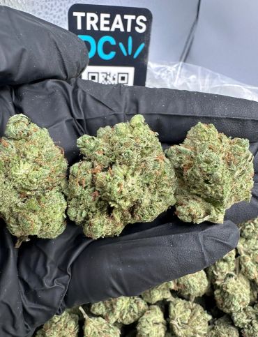 Three cannabis buds held in a gloved hand.