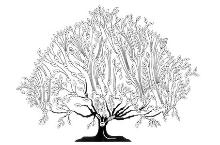 TRAD Family Tree since the 16th Century.
