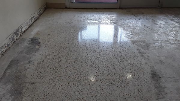 Stone Medics Terrazzo Floor After Image 