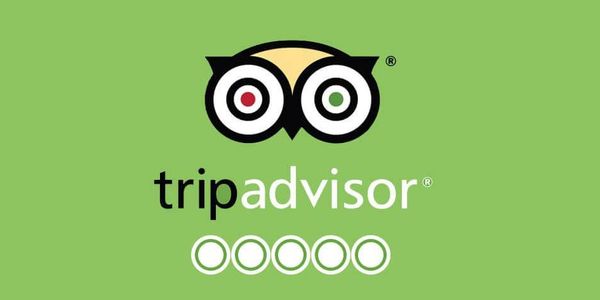 trip adviser