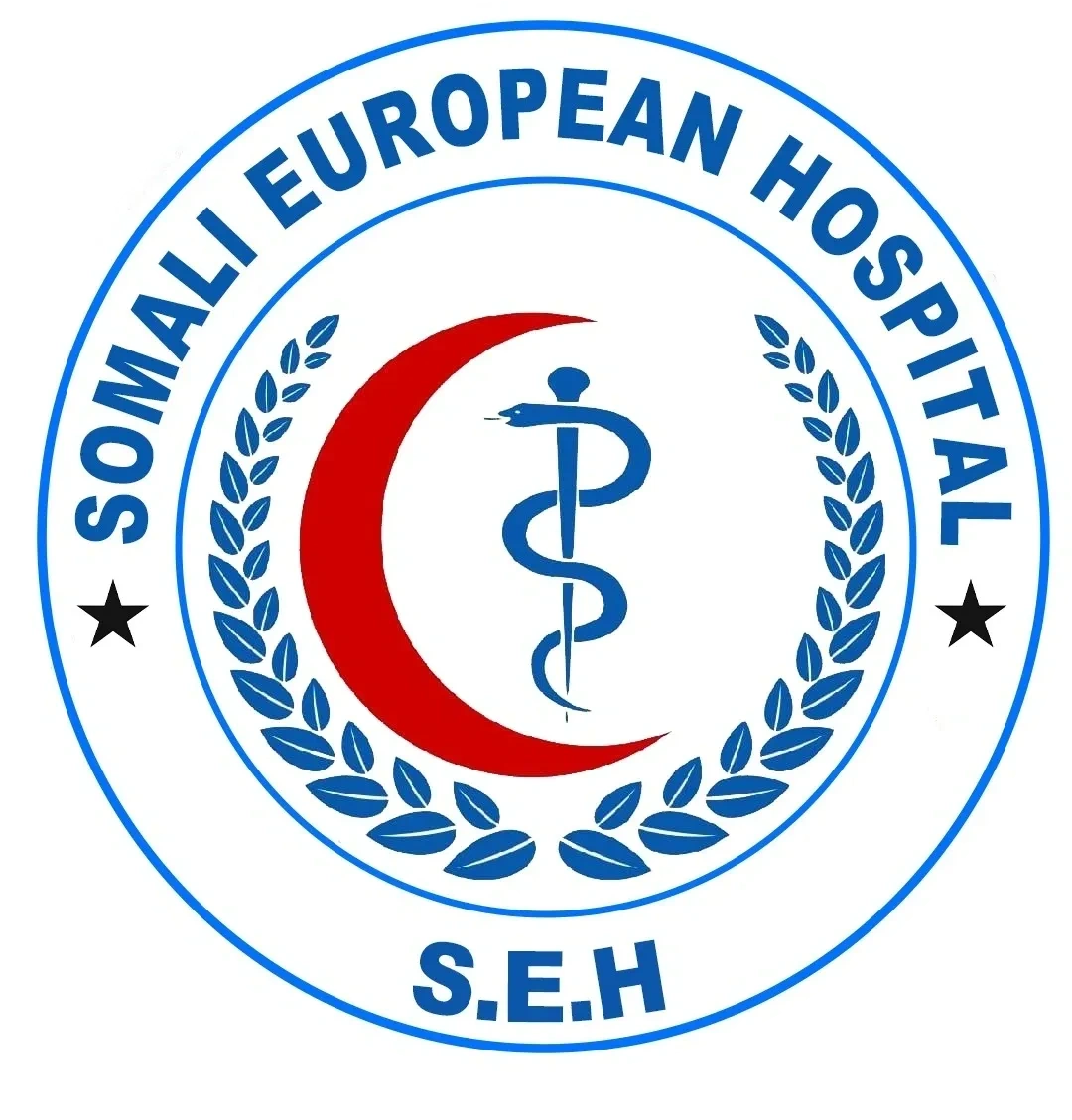 Somali European Hospital
