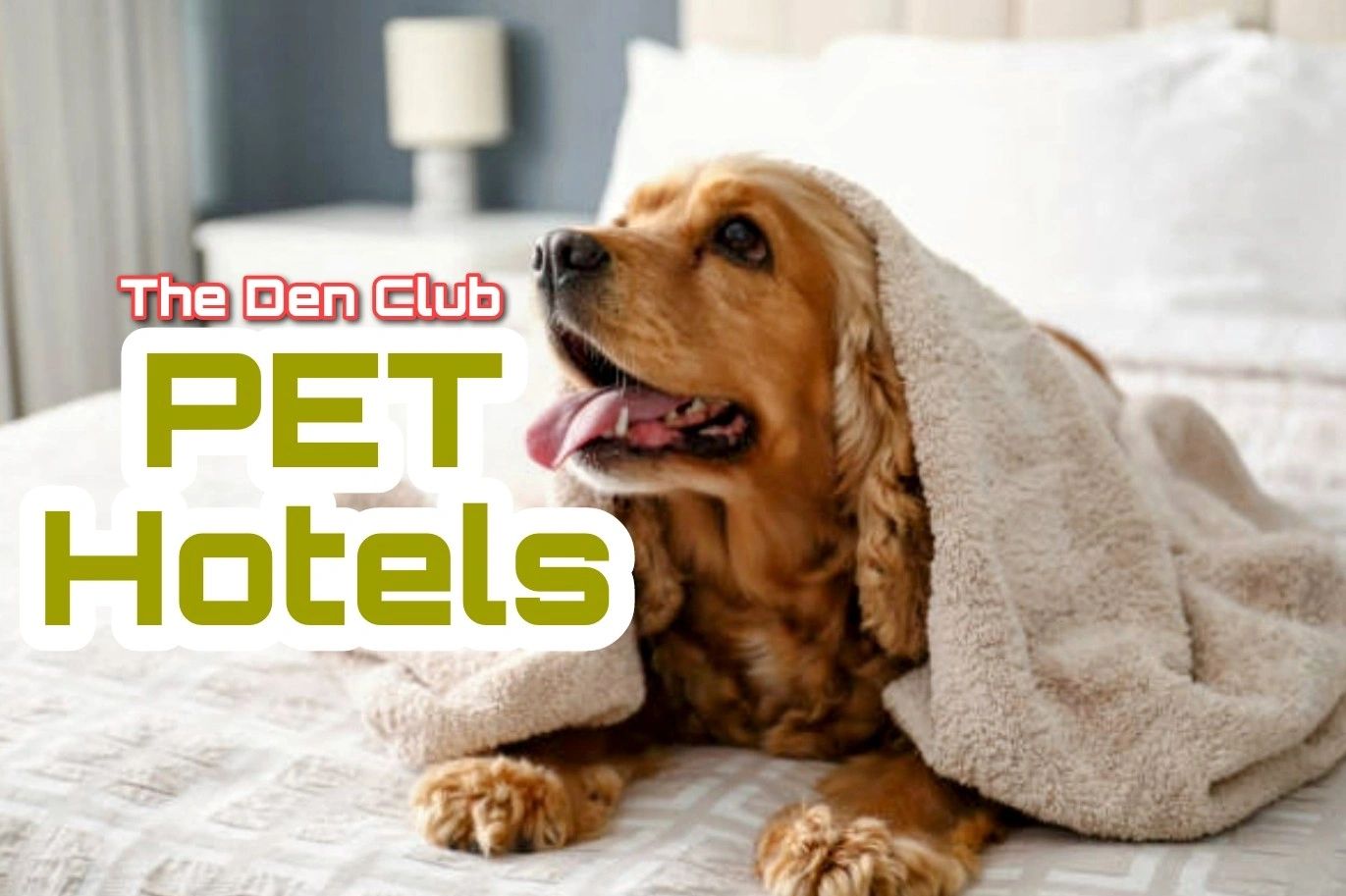Pet friendly hotels in las Vegas Strip