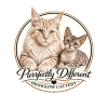 Highglow Pedigree Cats