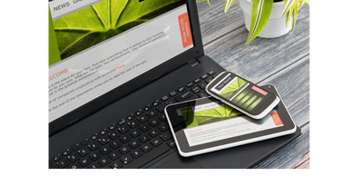 Computer, phone and tablet