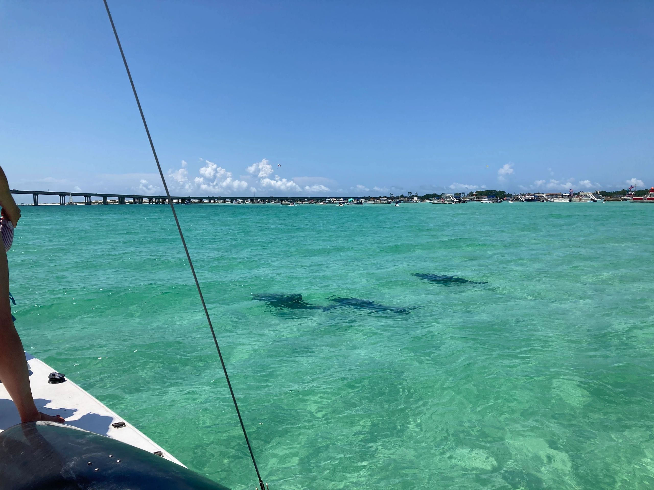 Destin Sailing Adventures Catamaran, Sailing, Dolphin Adventure