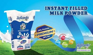 Hollandis Fat Filled Milk Powder