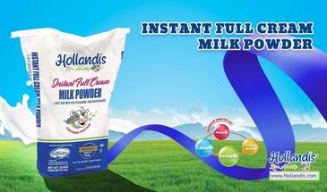 Hollandis Full Cream Milk Powder