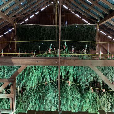 2020 CROP DRYING IN THE BARN