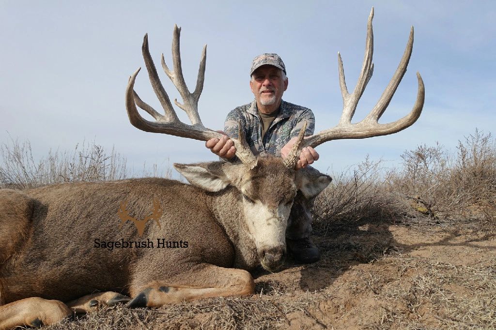 to Sagebrush Hunts