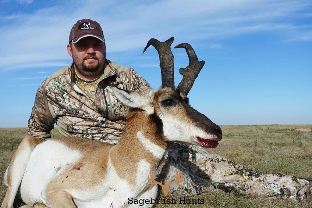 to Sagebrush Hunts