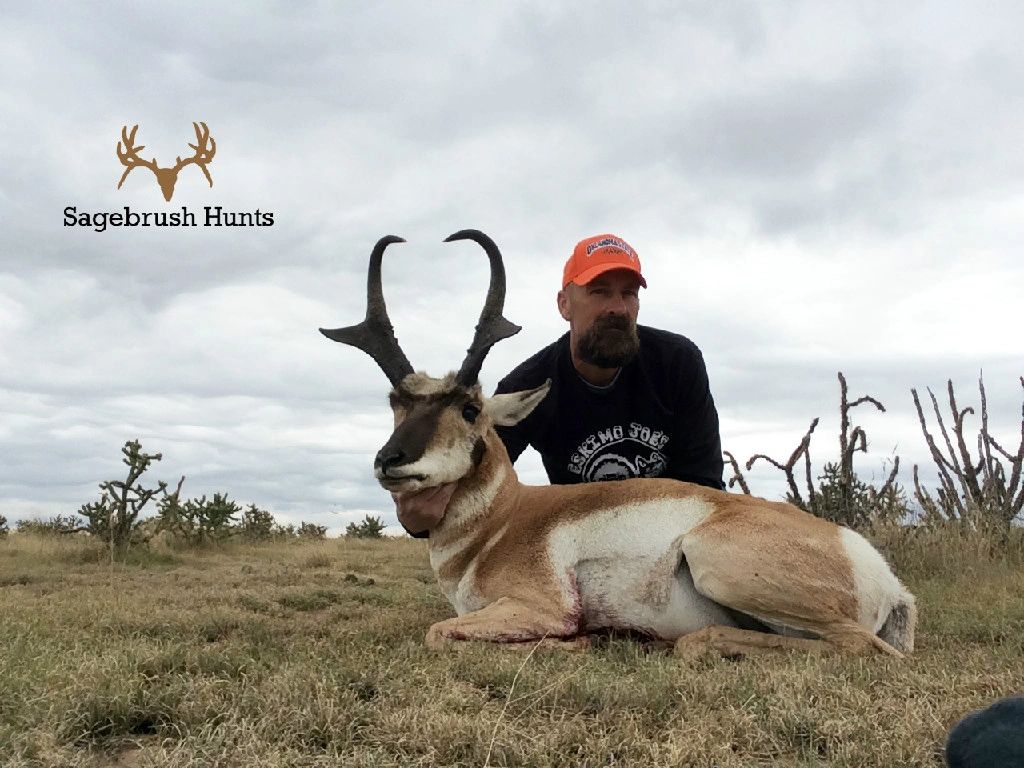 to Sagebrush Hunts