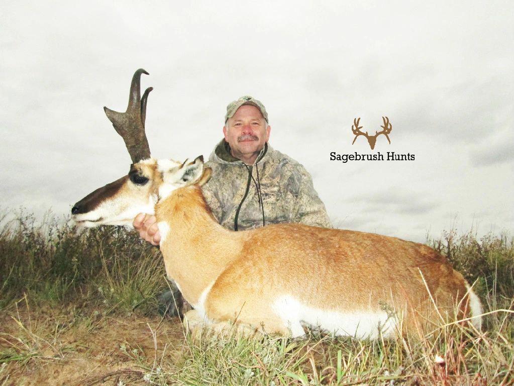 to Sagebrush Hunts