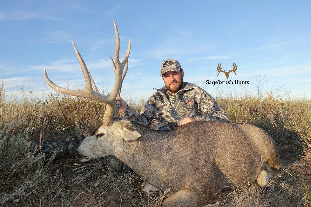 to Sagebrush Hunts