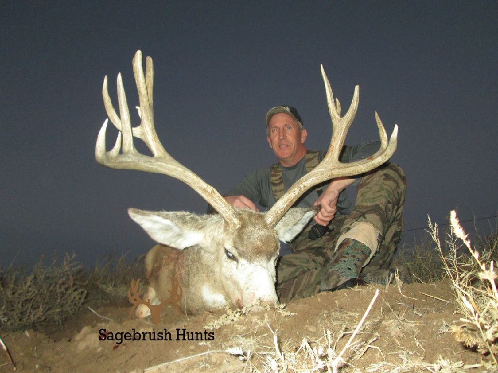 to Sagebrush Hunts