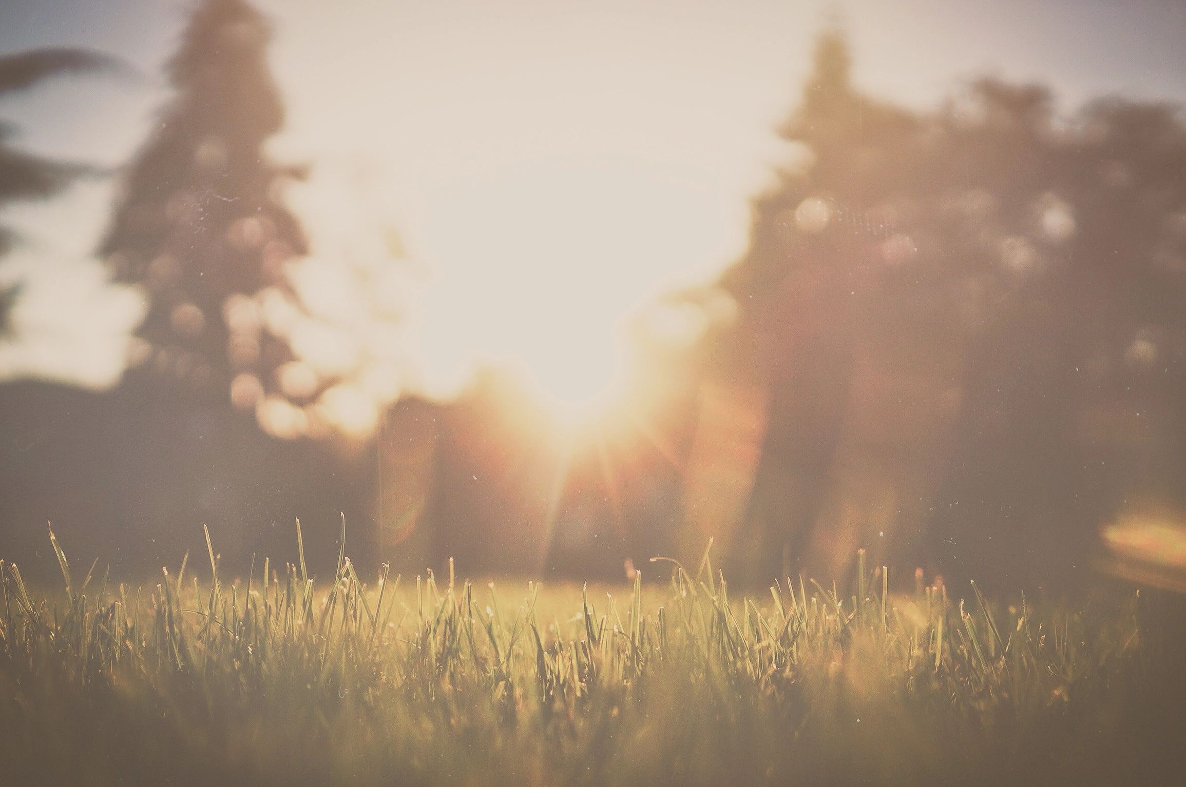 The meaning of a sunrise