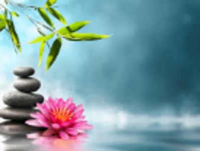 Balanced stones and pink flower with water in the background