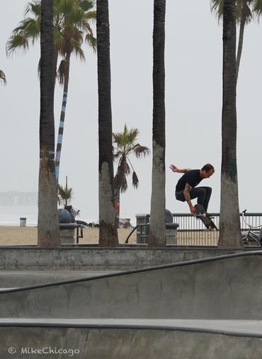 Frank The Magician Venice Skatepark